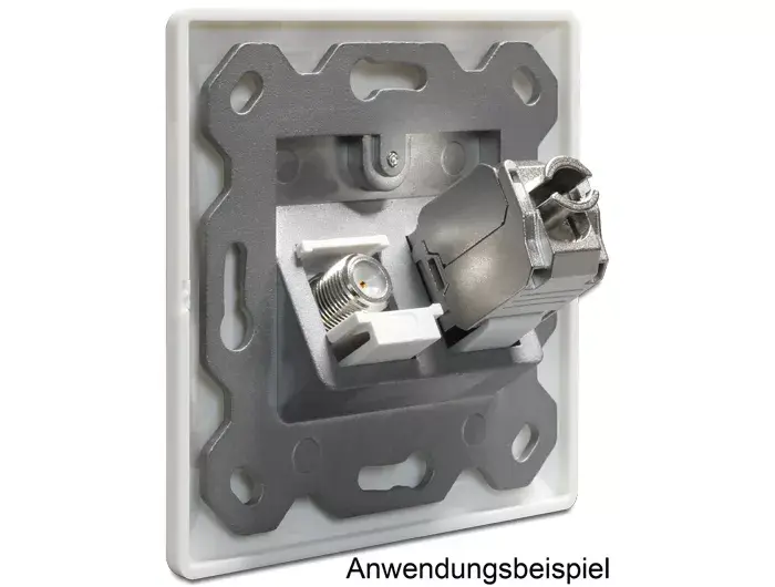 Outlet Box DeLOCK 86202 Photo 4