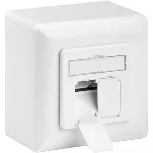Накладная лицевая панель Goobay CAT 6A (WENTRONIC) 2×RJ-45, монтажная рамка, белая, 500 МГц