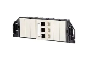 BTR NETCOM 1309360301-E розетка Черный, Белый