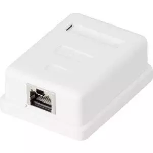 Сетевой розетка Renkforce CAT 6 1 порт, белая