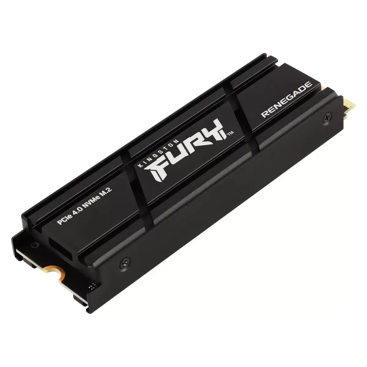 SSD KINGSTON RENEGADE 1 ТБ M.2 PCIe 4.0 Photo 2