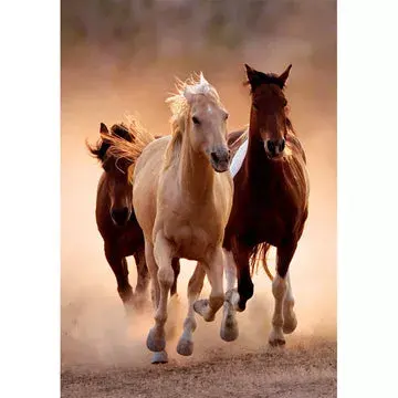 Puzle Clementoni Running Horses 1000 gab. Photo 2