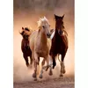 Puzle Clementoni Running Horses 1000 gab. Photo 2