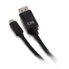 C2G USB-C to DisplayPort Adapter Cable Photo 2
