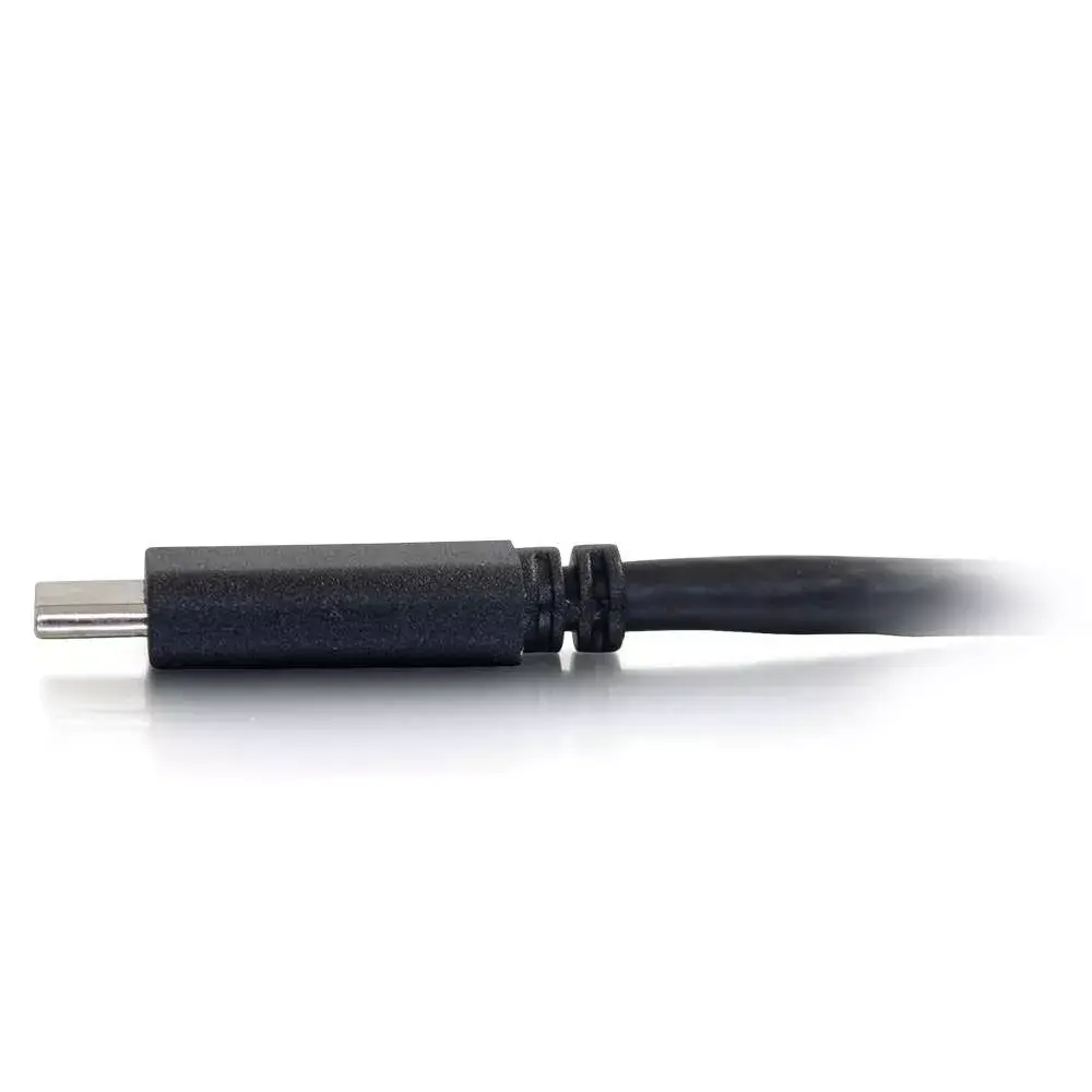 C2G USB-C to DisplayPort Adapter Cable Photo 3