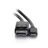 C2G USB-C to DisplayPort Adapter Cable Photo 4