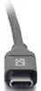 C2G 1.8m USB-C 2.0 Cable Photo 4