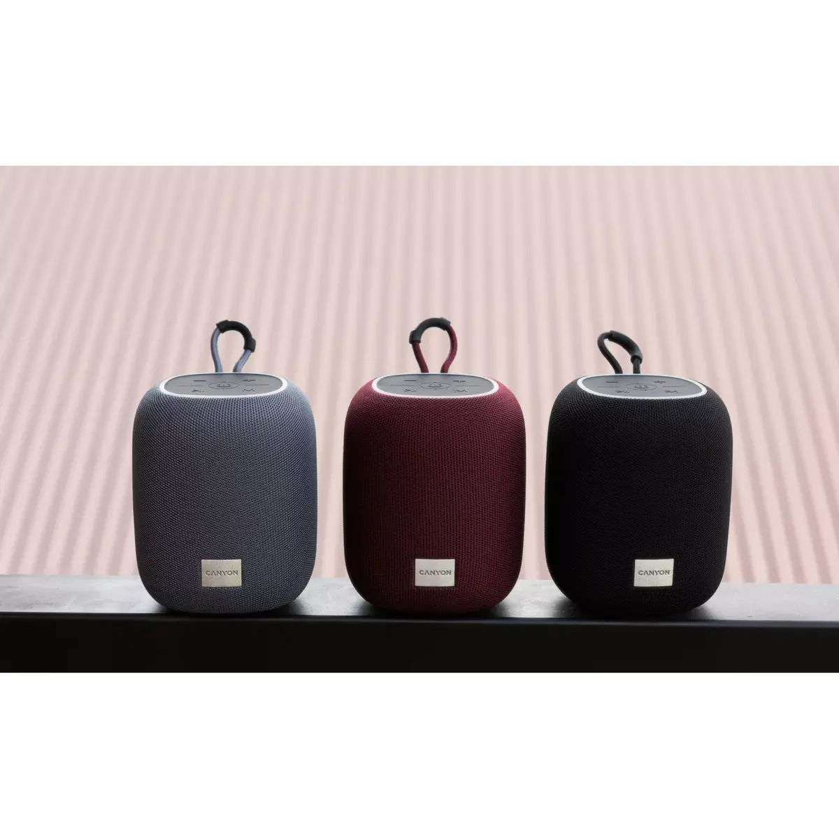 Mono Portable Speaker Canyon BSP-8 CNE-CBTSP8G Photo 6