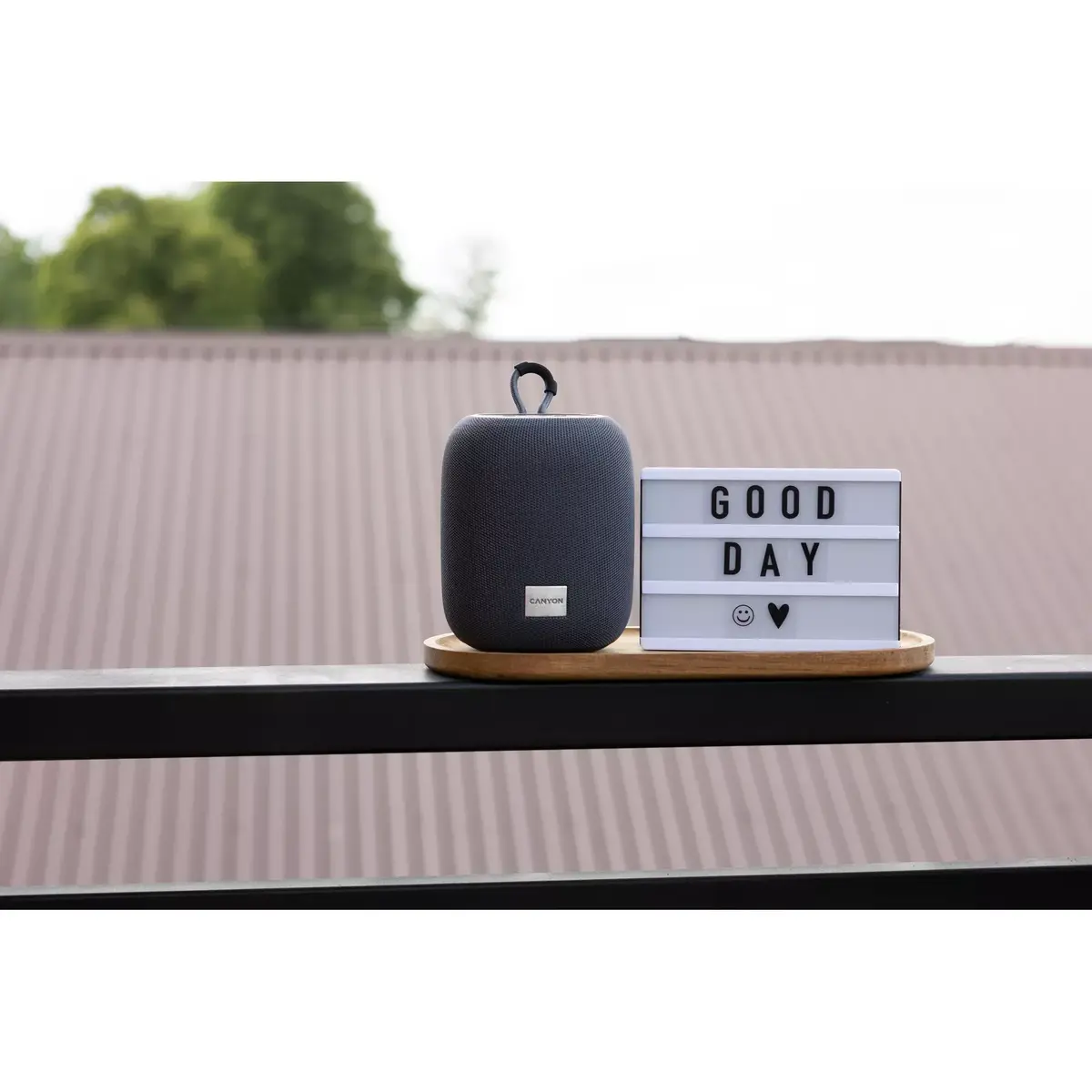 Mono Portable Speaker Canyon BSP-8 CNE-CBTSP8G Photo 14