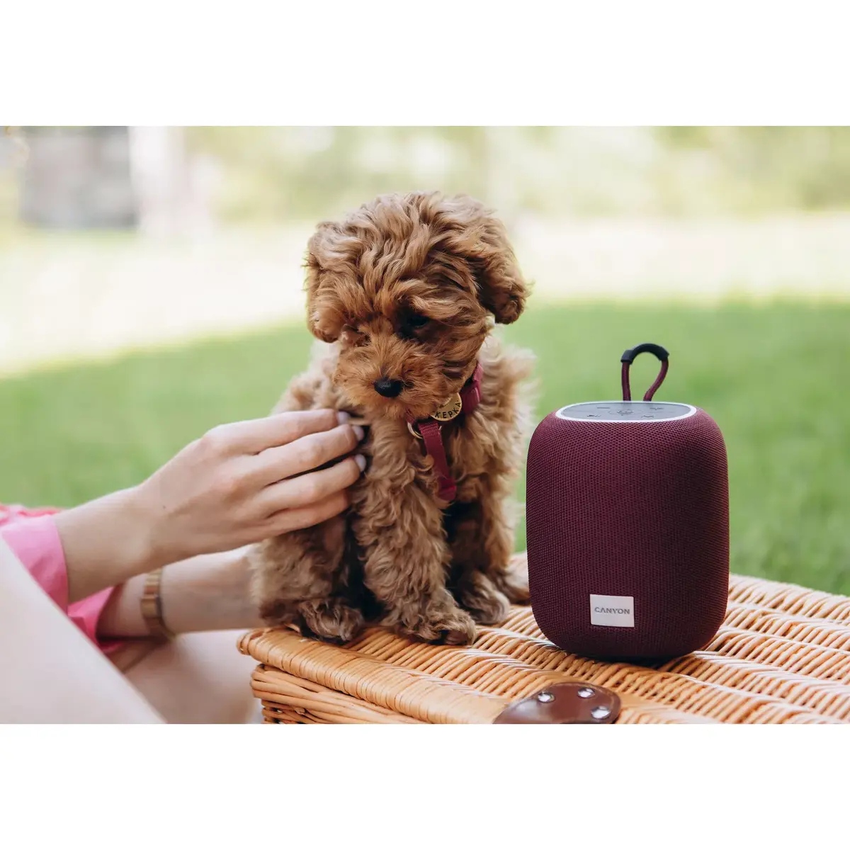 Mono portable speaker Canyon BSP-8 CNE-CBTSP8R Photo 14