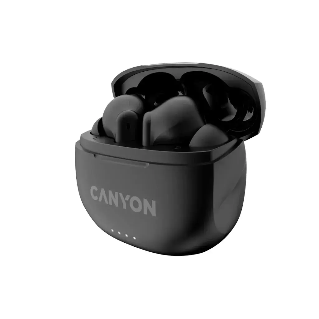 Austiņas Canyon CNS-TWS8B Photo 2