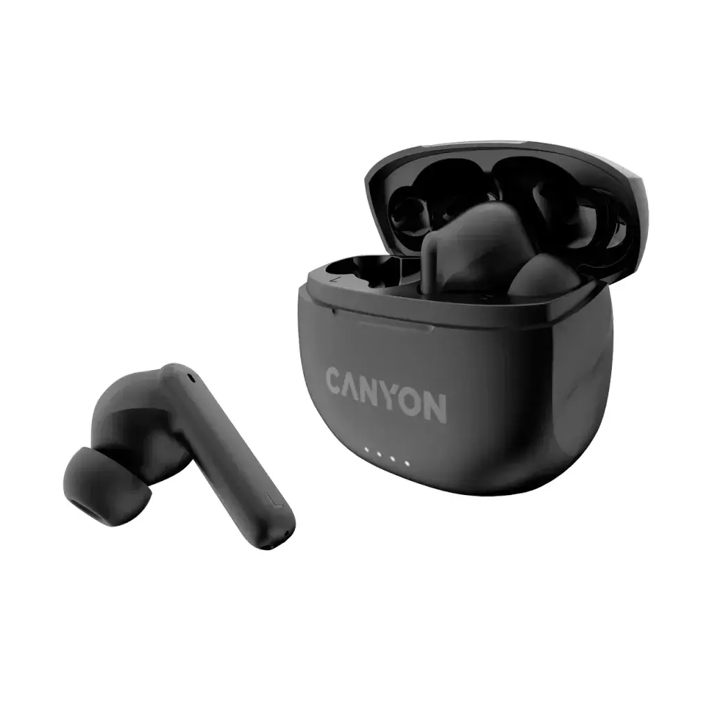 Austiņas Canyon CNS-TWS8B Photo 3