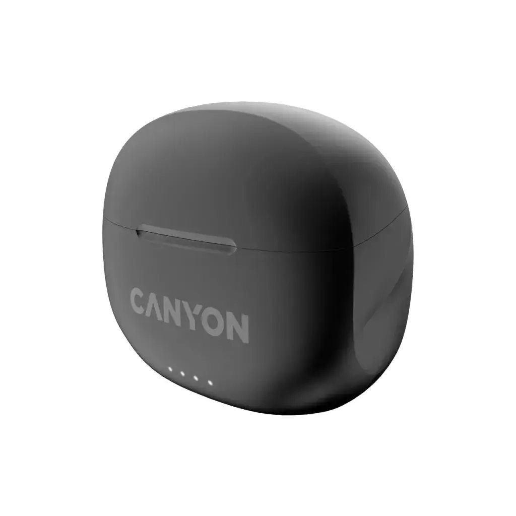 Austiņas Canyon CNS-TWS8B Photo 4