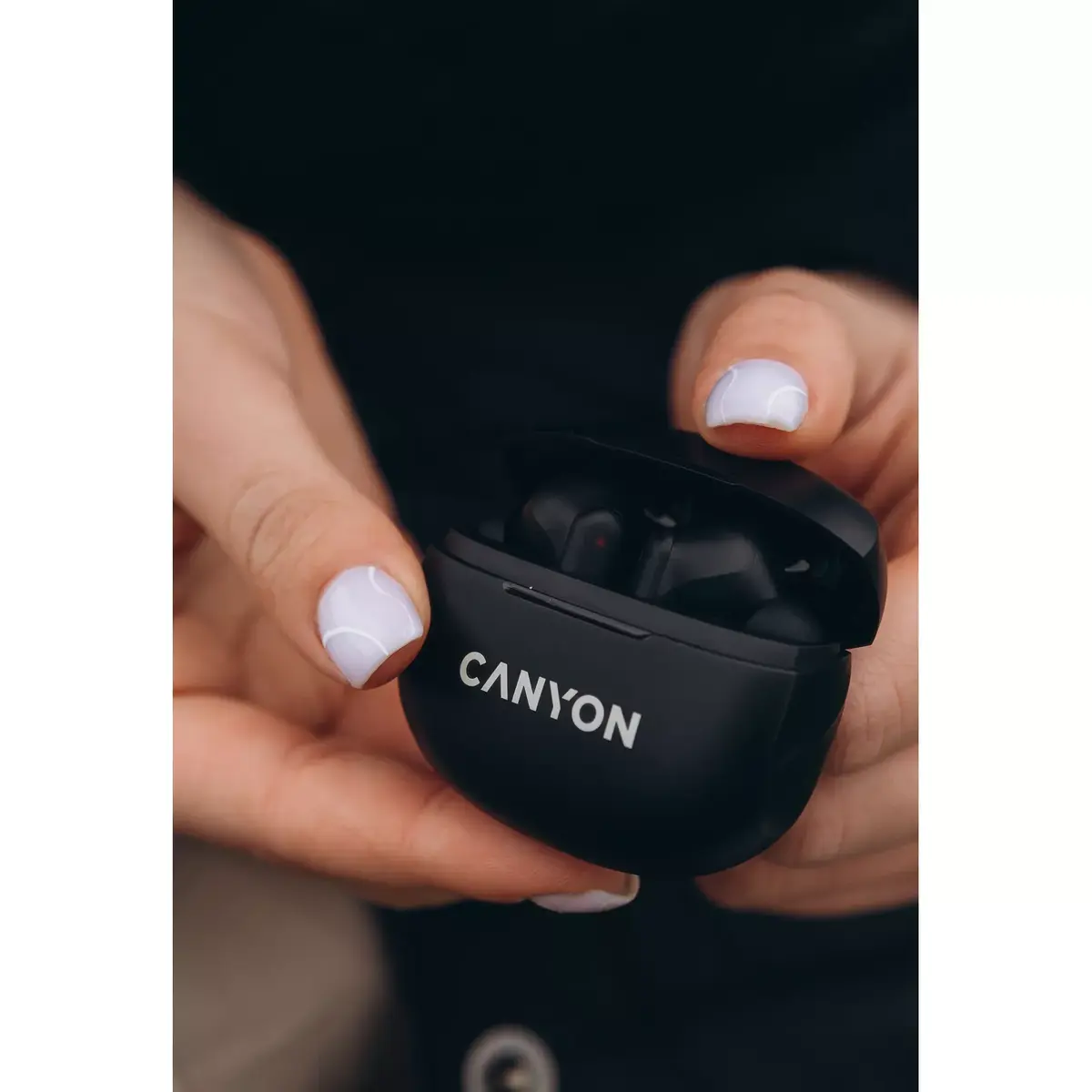Austiņas Canyon CNS-TWS8B Photo 9