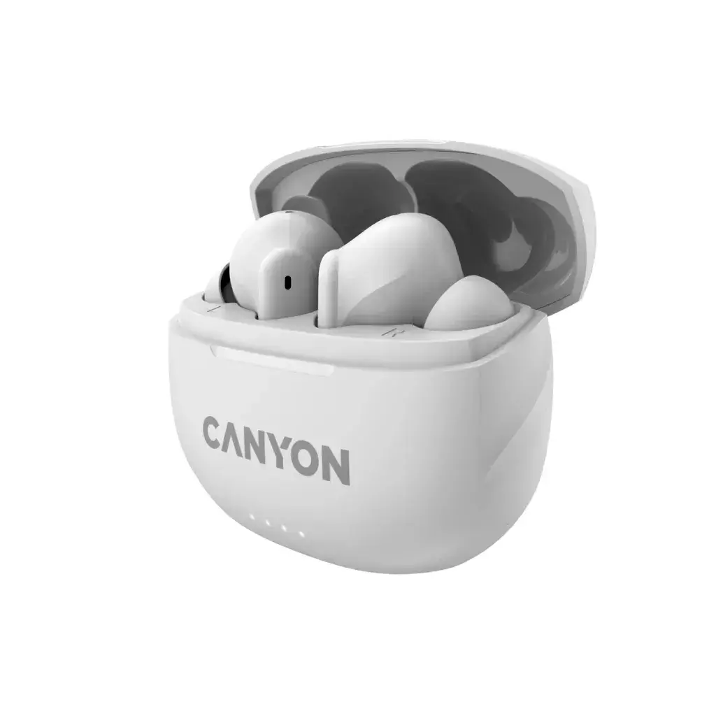 Austiņas Canyon CNS-TWS8W Photo 2