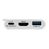 Eaton U444-06N-HU-C USB-C uz HDMI adapters Photo 10