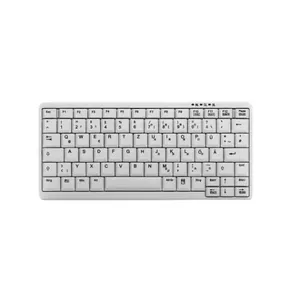 Active Key AK-4100 keyboard PS/2 QWERTZ US English White