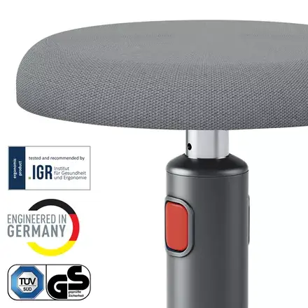 Mīkstināts sēdeklis ESSELTE Leitz Ergo Cosy Active Photo 4