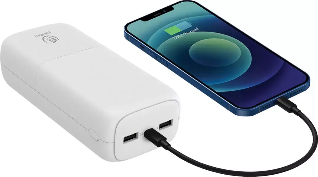 Portable Charger Powerbank P30 RBLAKT00020 Photo 5