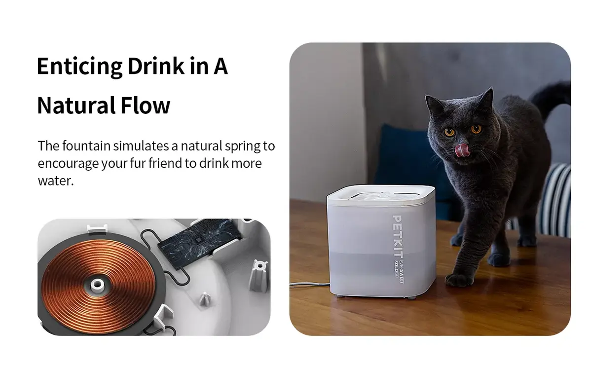 PETKIT Eversweet Solo 1,8 л поилка-фонтан Photo 9