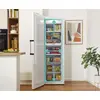 Gorenje FN619EAW6 вертикальный морозильник 280 л Photo 20