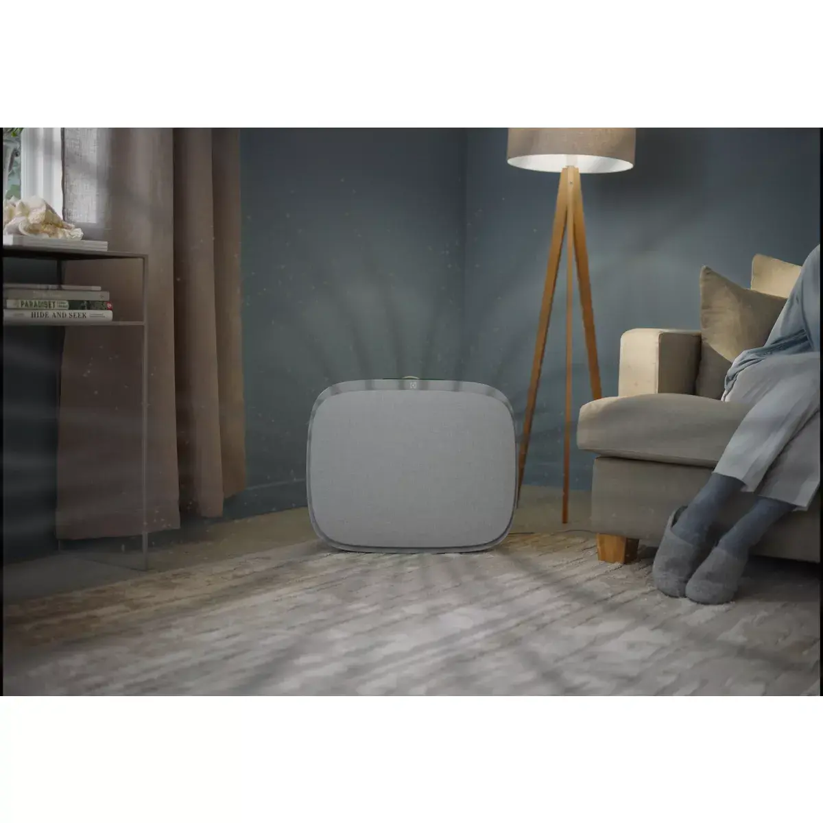Очиститель воздуха Electrolux WA71-305GY Photo 18