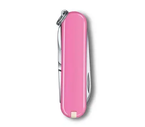 Многофункциональный нож Victorinox 0.6223.51G Photo 2