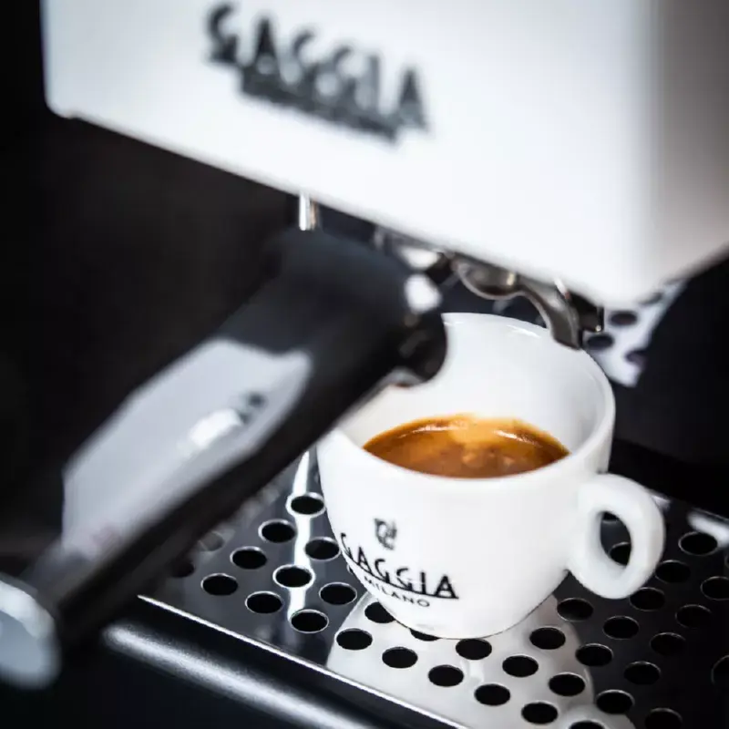Кофеварка Gaggia 1.5L Classic Evo RI9481/13 Photo 3