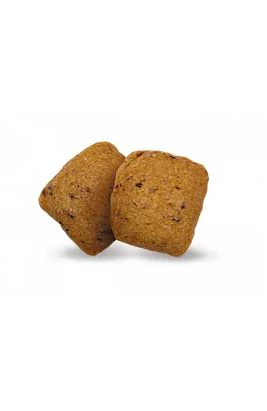 Suņu barība Green Petfood InsectDog Hypoallergen Photo 2