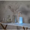 LED наружный светильник Star Trading Lantern Lisa 26 см Photo 2