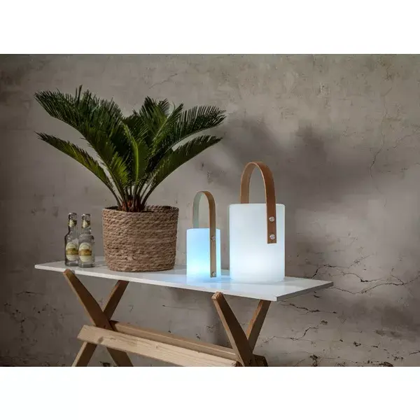 LED наружный светильник Star Trading Lantern Lisa 26 см Photo 3