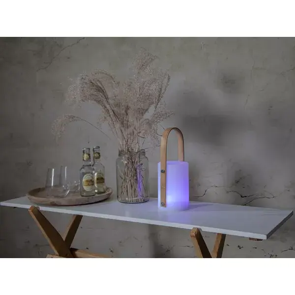 LED наружный светильник Star Trading Lantern Lisa 26 см Photo 4