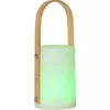 LED наружный светильник Star Trading Lantern Lisa 26 см Photo 7