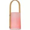 LED наружный светильник Star Trading Lantern Lisa 26 см Photo 10