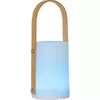LED наружный светильник Star Trading Lantern Lisa 26 см Photo 11