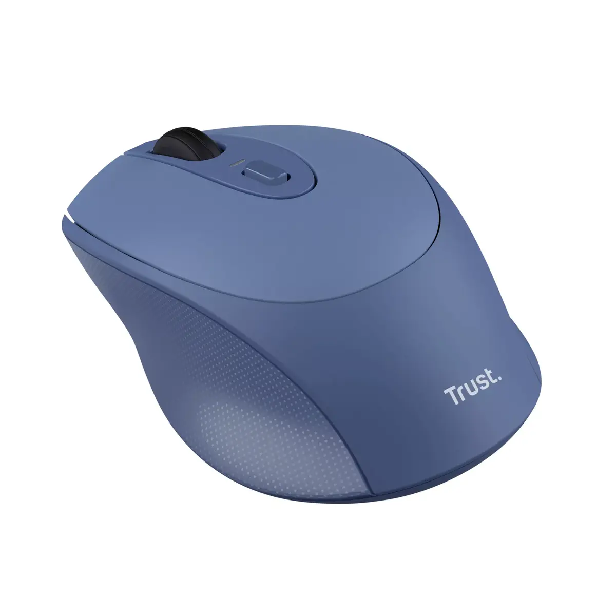 Mouse Trust Zaya Office Photo 2