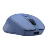 Mouse Trust Zaya Office Photo 3