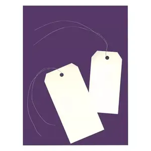 Avery 75-410 Non-Adhesive Label 1000 pcs Cream Rectangle 6x12 cm