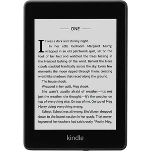 Amazon Kindle Paperwhite 4 lasītājs ar reklāmām (B07747FR44)