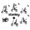 Trīsritenis milly mally Stanley Rubber Grey 3116 Photo 10
