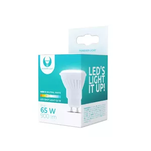 LED spuldze Forever Light RTV003475 10W 4500K, energoefektivitātes klase F