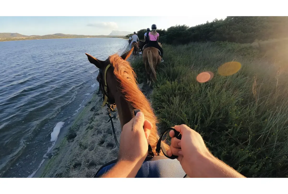 Крепление для камеры GoPro Head Strap 2.0 Photo 8