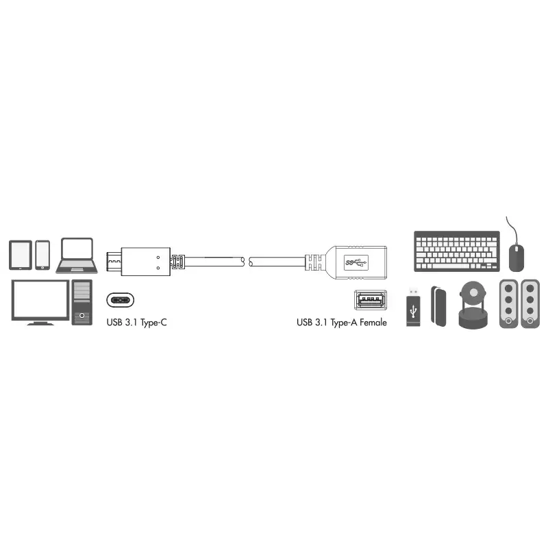 USB kabelis LogiLink USB C - USB A 0.15m Photo 2