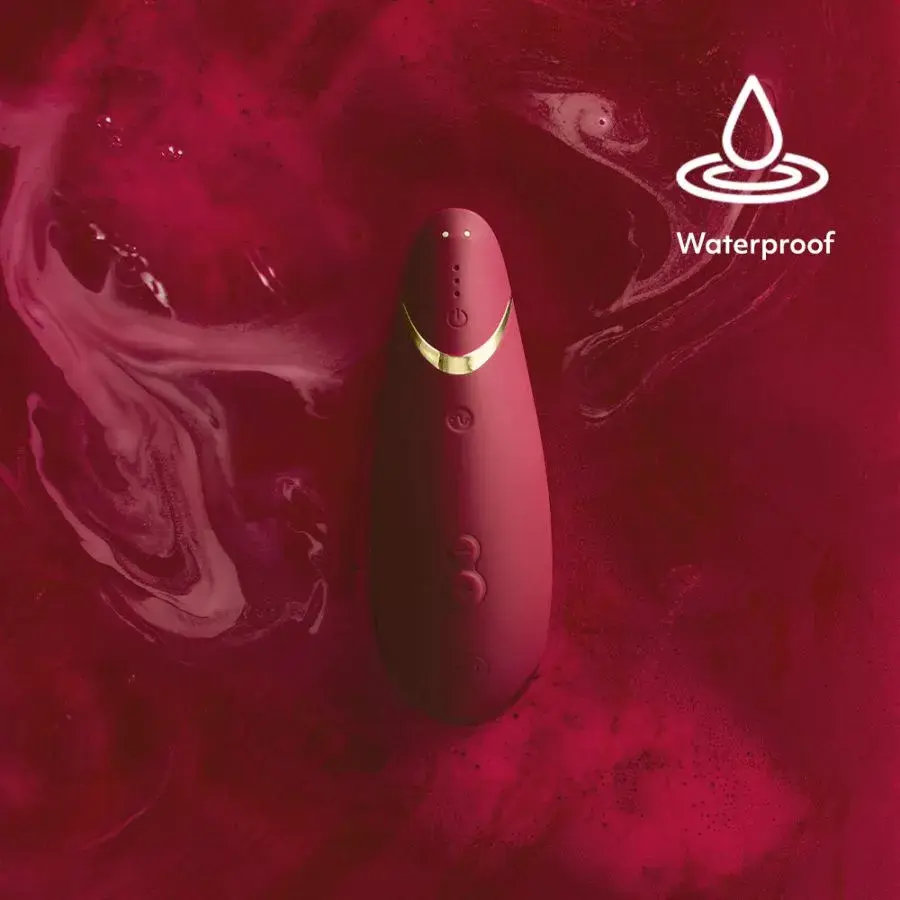 Sūkšanas vibrators Womanizer Premium 2 Photo 3