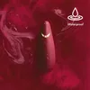 Sūkšanas vibrators Womanizer Premium 2 Photo 3