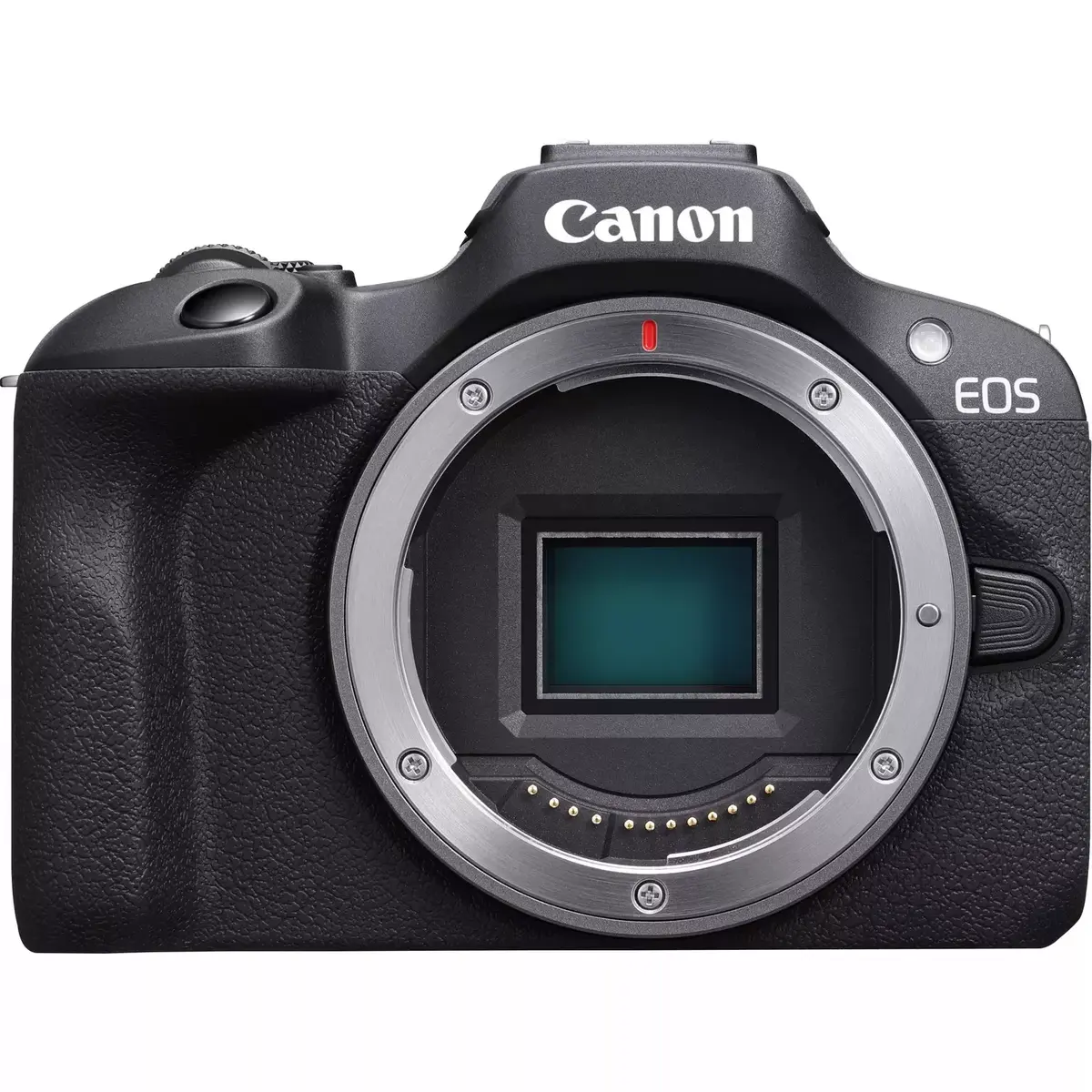 Canon EOS R100 беззеркальная камера Photo 4