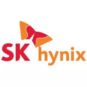 Hynix 32 GB reg. ECC DDR5-4800 HMCG88MEBRA (HMCG88MEBRA)