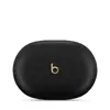 Наушники Apple Beats Studio Buds + Photo 2