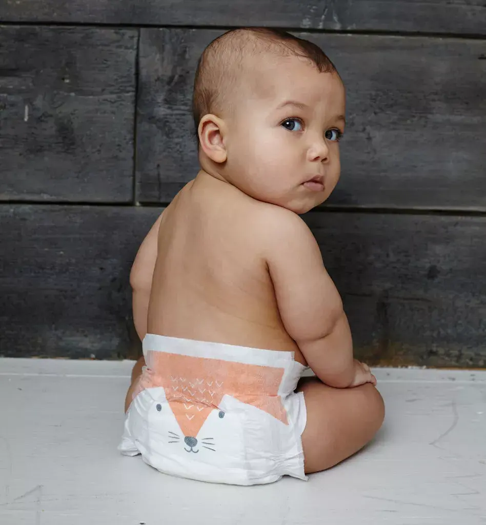 Подгузники Kit and Kin KKS3NAPPIESGH размер 3 Photo 3