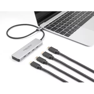 DeLOCK USB Type-C Hubs 10 Gbps 4 Porti Alumīnijs Pelēks